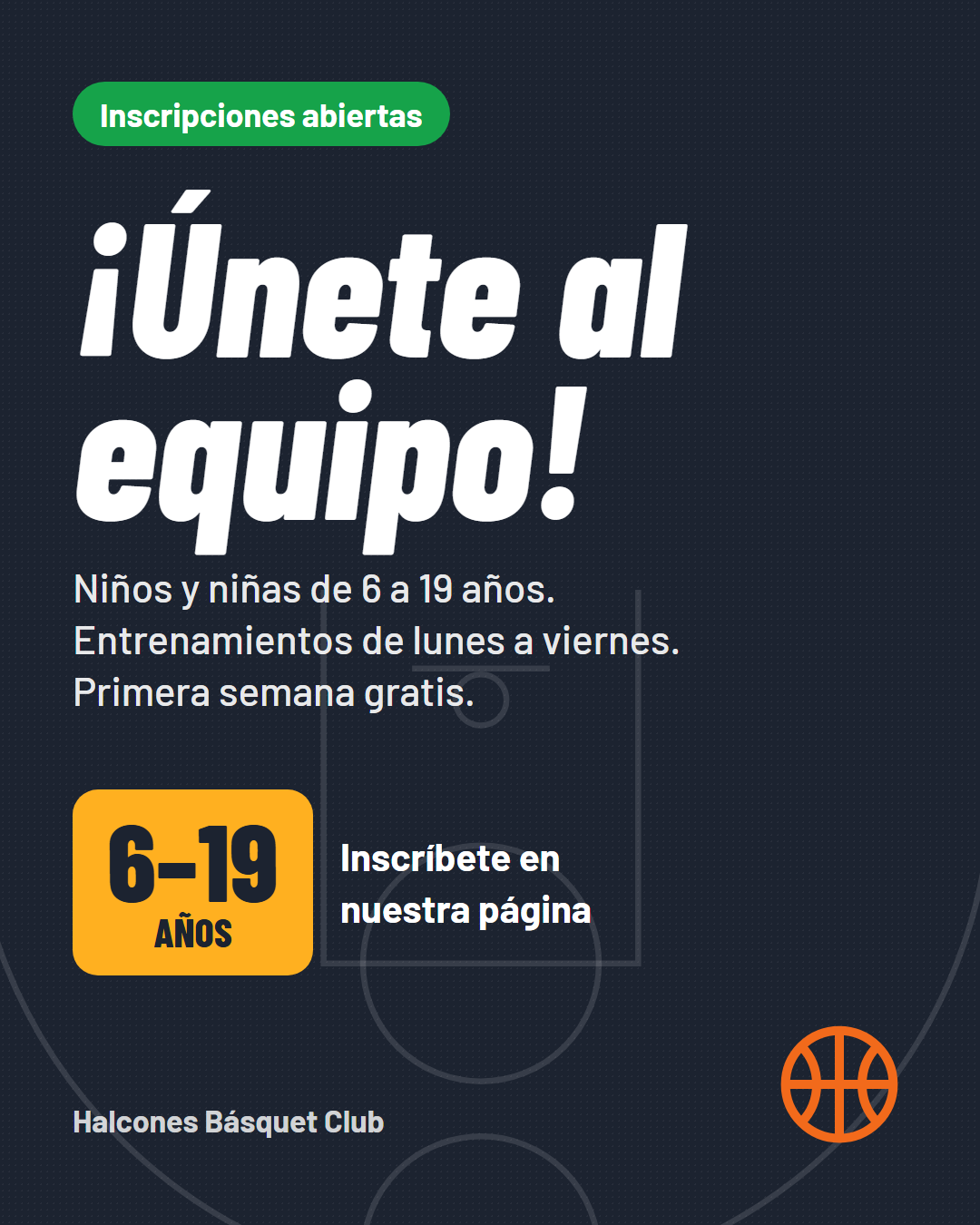 Imagen de la publicación